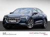 Audi e-tron 2021/9