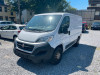 Fiat Ducato 2019/1