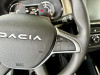 Dacia Spring 0/1