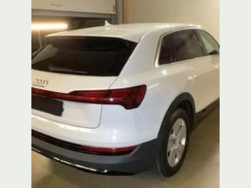 Audi e-tron 50 quattro *Luft *1.Hand *8-fach bereift 2021/8